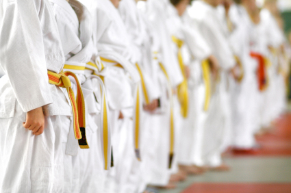 Martial Arts Insurance in Sugarland, Houston, Fort Bend County, TX